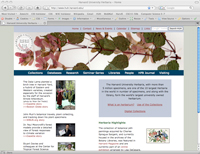 Harvard University Herbaria website