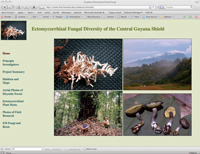 Project website on Ectomycorrhizal Fungi